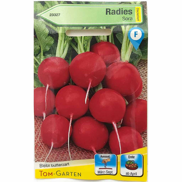 Tom Garten Samen für Radies Sora Gemüsesamen