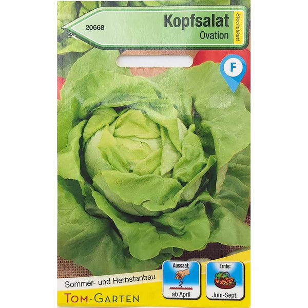Tom Garten Samen für Kopfsalat Ovation Gemüsesamen
